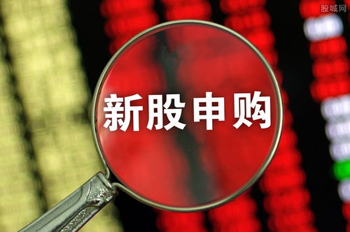 愛威科技今日開啟申購，單一賬戶上限4000股，專注網絡技術軟件研發與銷售