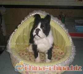 寵物用品庫存管理全攻略 為愛寵備足糧草，讓經營更從容