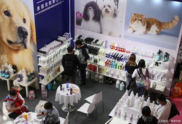 2024中國(寧波)國際寵物用品博覽會 聚焦人寵和諧，引領行業新風尚