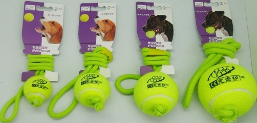 寵物玩具新風尚 源自德國的戲寵Pawsfly，如何重新定義互動樂趣