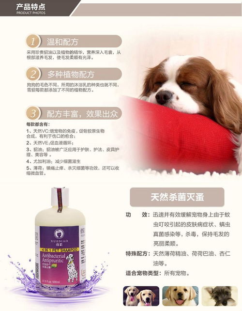 雪貂狗香波補鈣套裝 專業寵物護理，守護愛犬健康